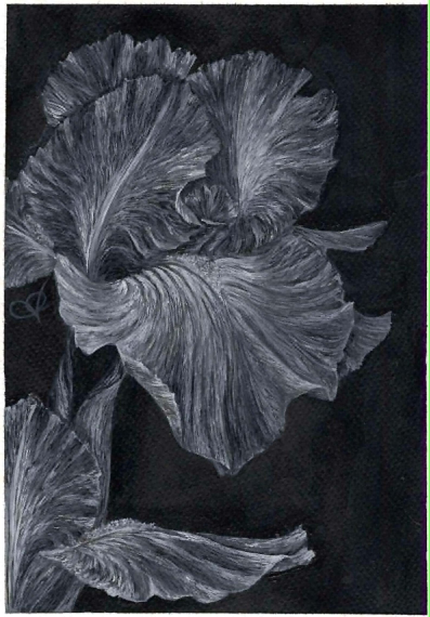 B&W Greeting Card