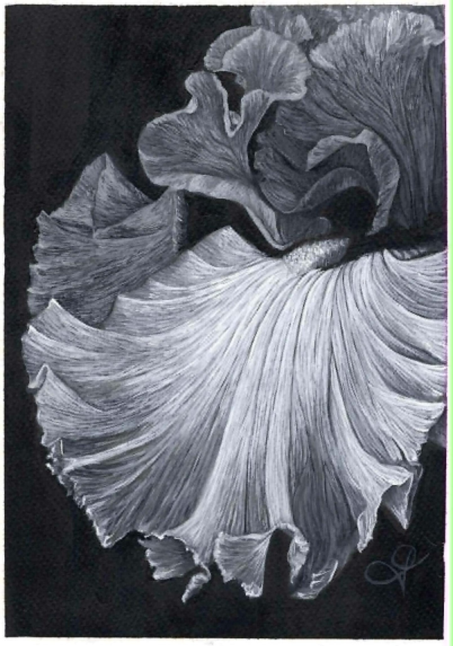 B&W Greeting Card