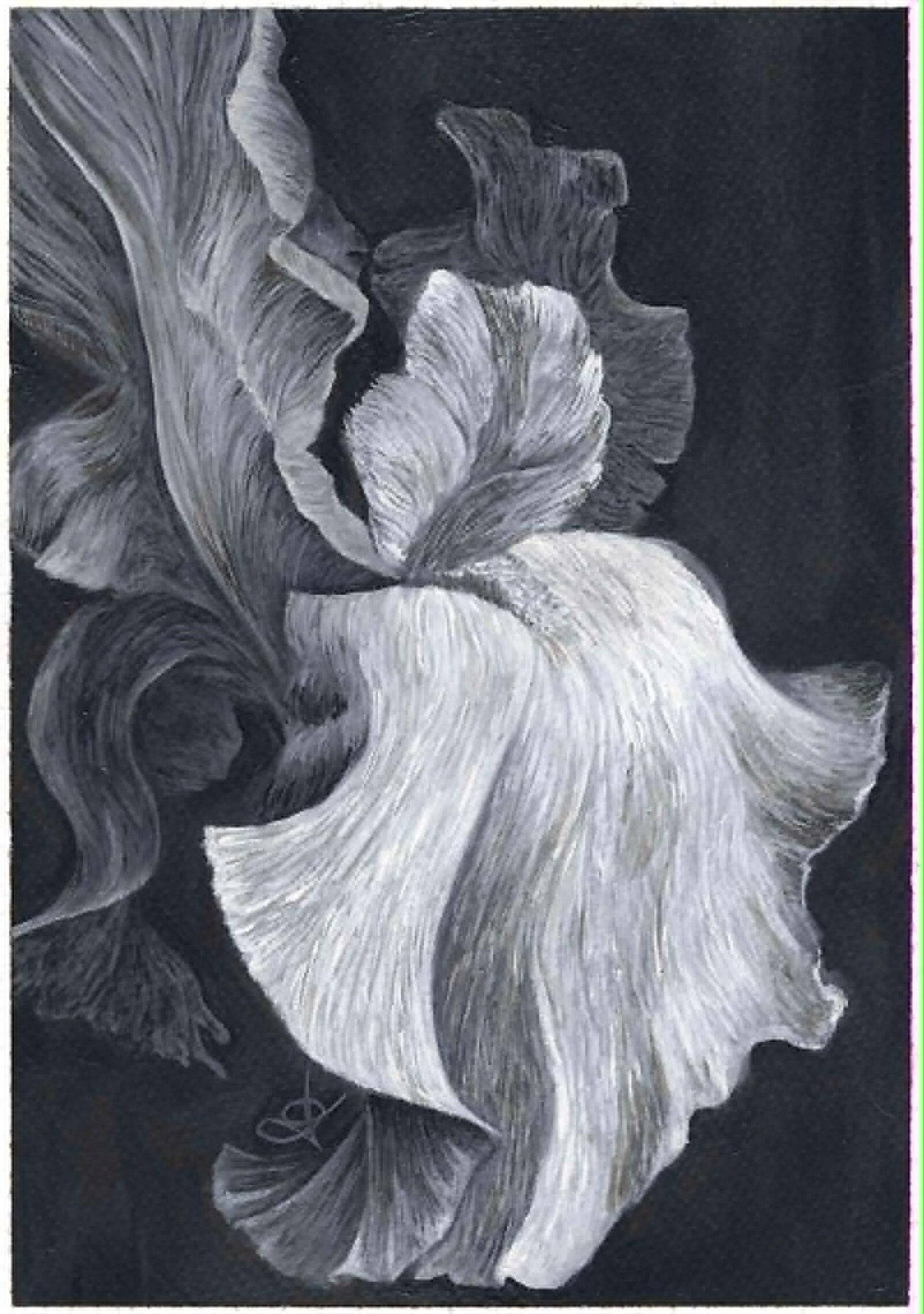 B&W Greeting Card